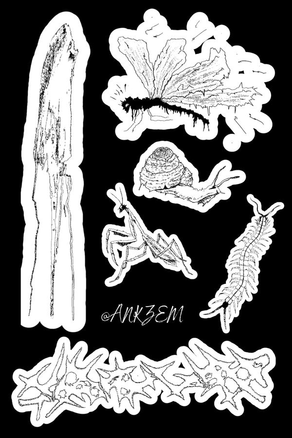 Line / hmyz